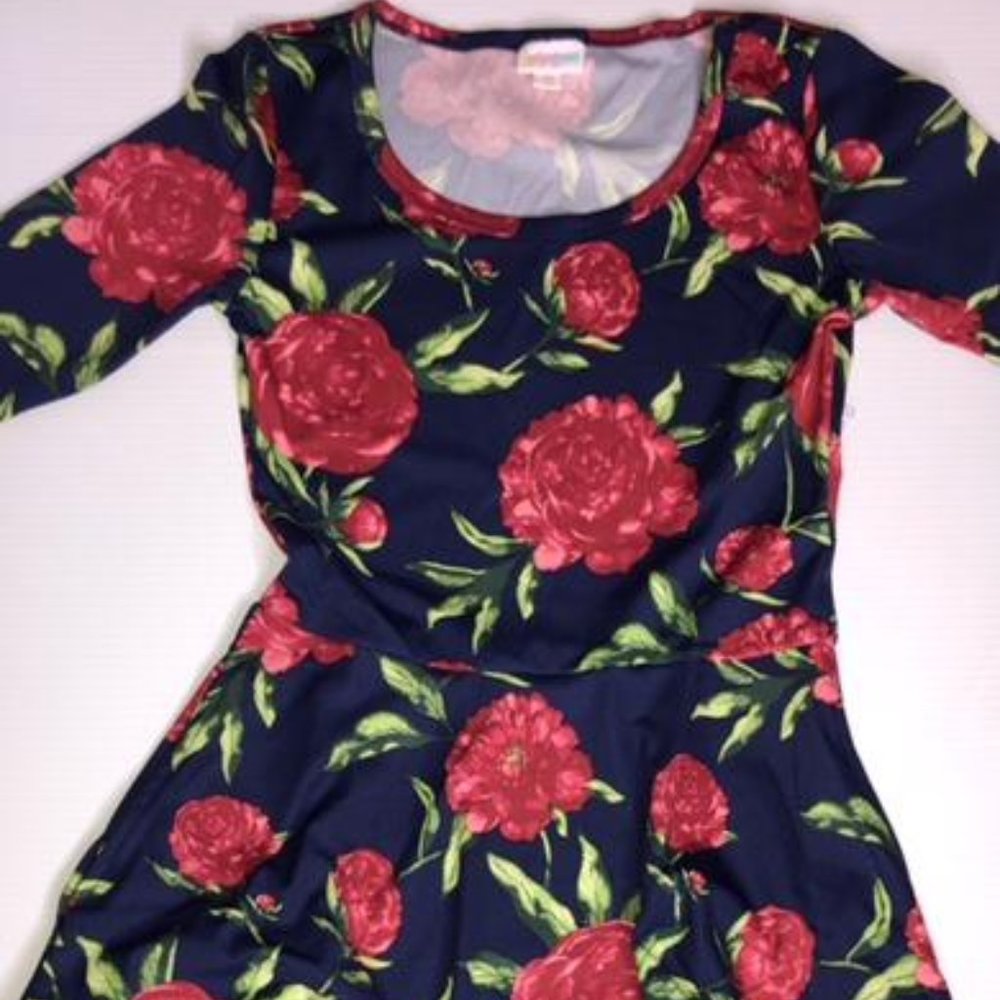 LuLaRoe Nicole Swing Dress